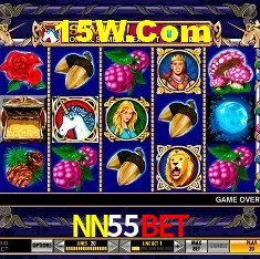 Apostas Esportivas na NN55Bet: Um Guia Completo